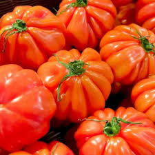 [04103] Pomodoro cuore di bue