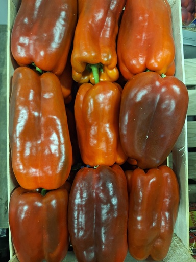 [04109] Peperoni Rossi Paprika