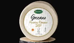 [10041] Pecorino Romano
