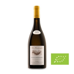 [51210] Sauvignon                 Maso Cantanghel