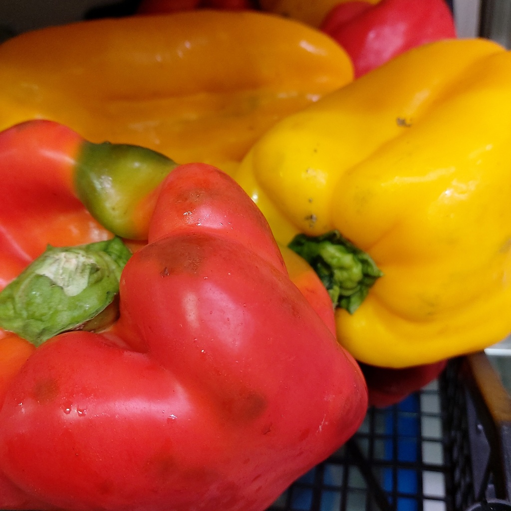 Peperoni Gialli per kg