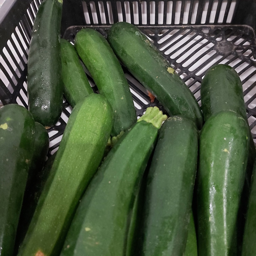 Zucchine / Courgettes