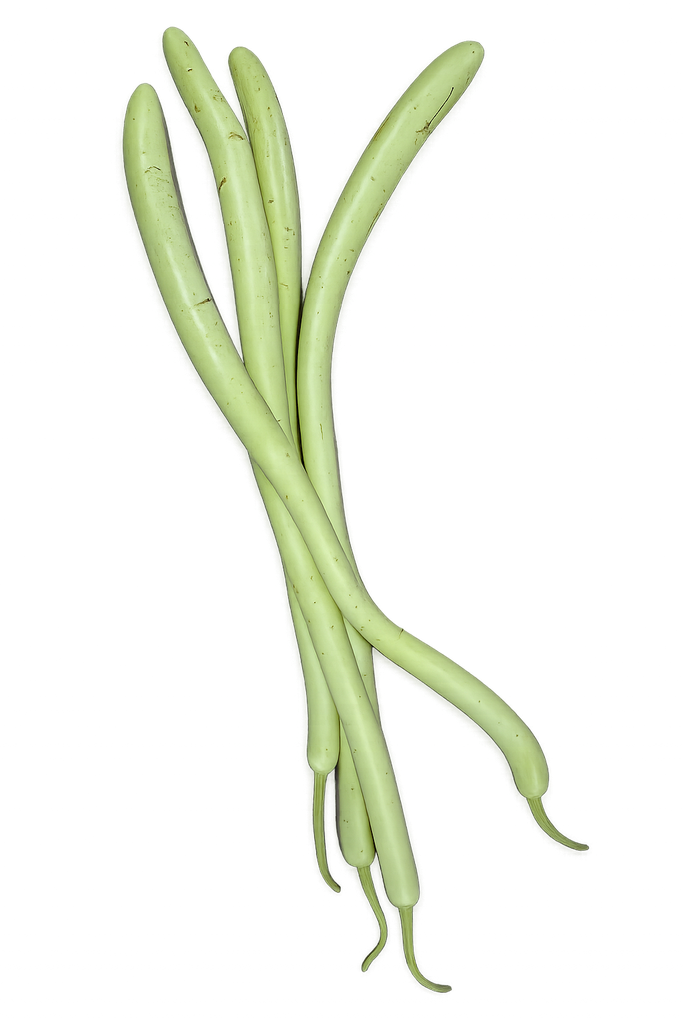 Zucchine Bianche / courgette lang