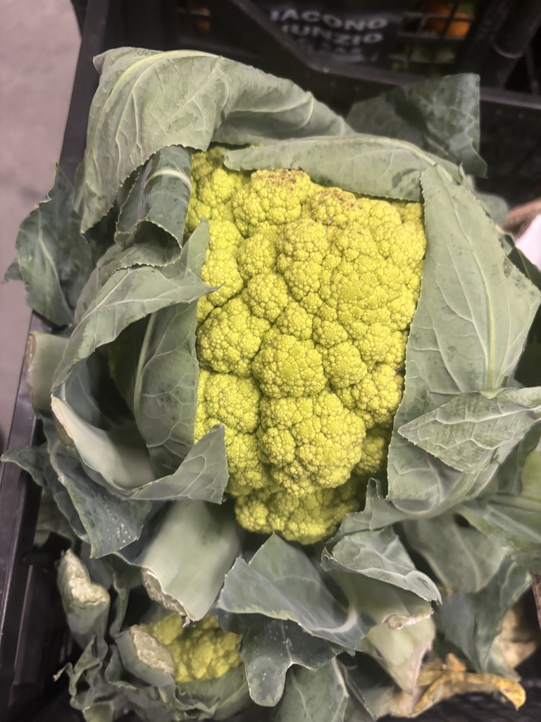Cavolfiore Verde  x6