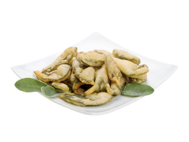 SALVIA PASTELLATA  4 * 1 kg