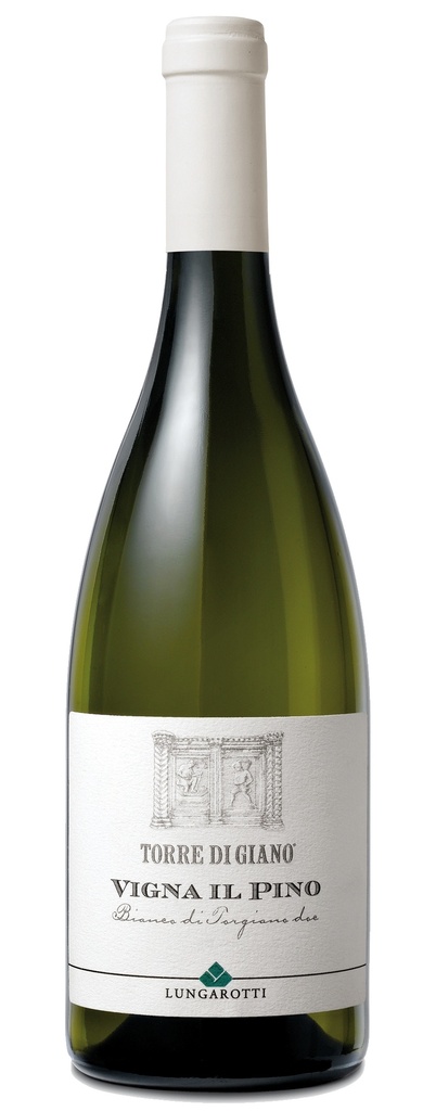 Vigna ïl Pino Torgiano bianco     Lungarotti