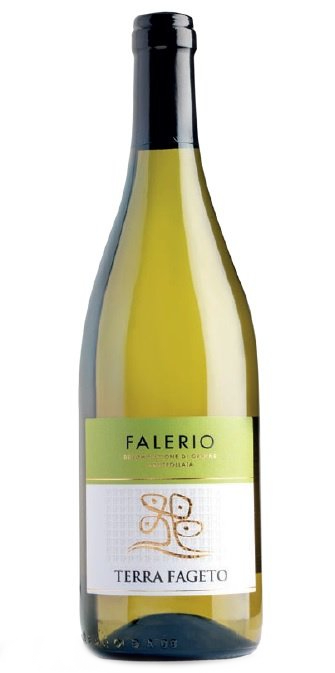 Falerio doc                TERRA FAGETO