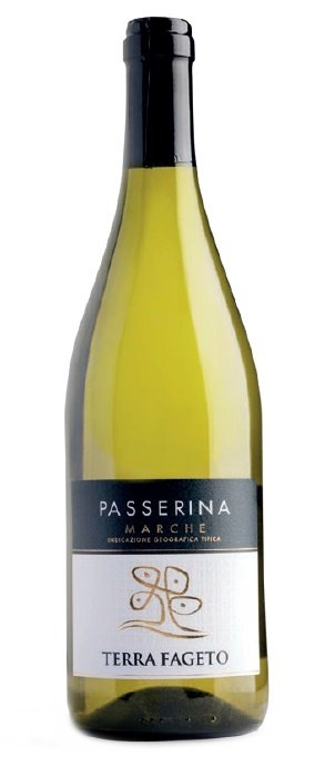 Marche Passerina igt           TERRA FAGETO