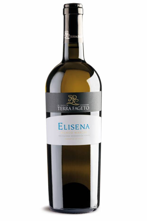 ELISENA Marche Bianco igp  TERRA FAGETO