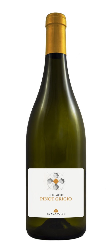 Pinot Grigio  Il Pometo `19   IGT     Lungarotti