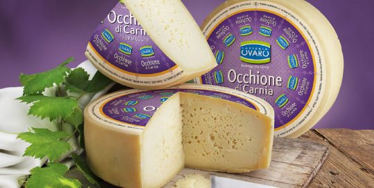 Occhione di Carnia