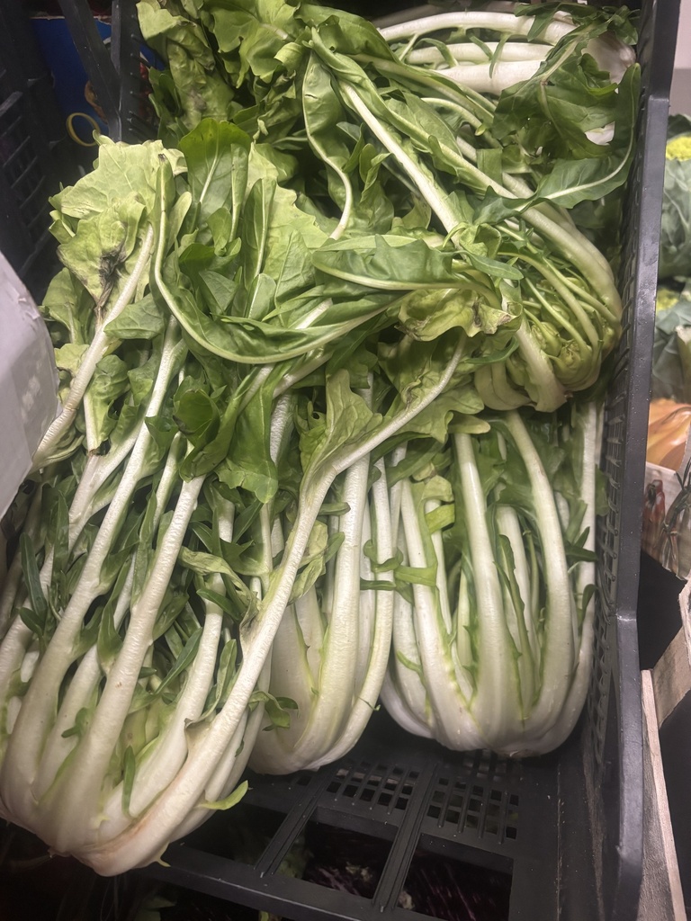 Cicoria cimata / Puntarelle