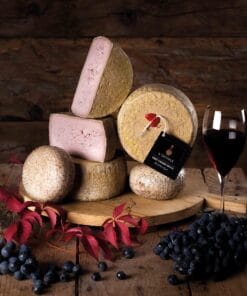 Il Giovale Pecorino al Chianti