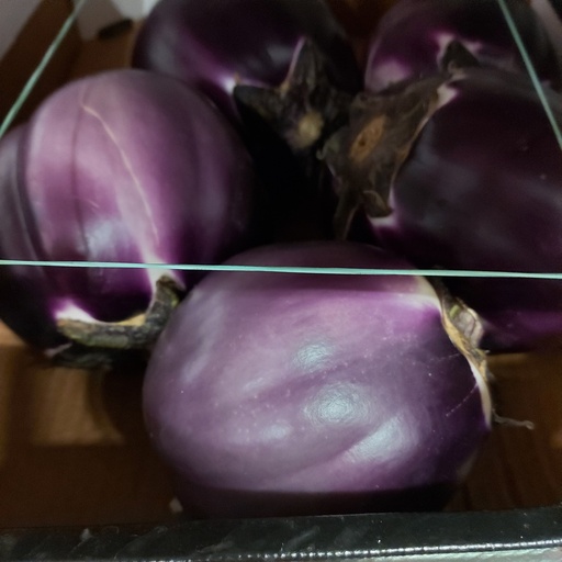 [04105] Melanzane Viola