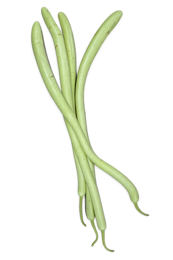[04112] Zucchine Bianche / courgette lang
