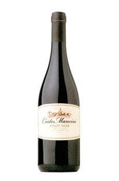 [82707] Pinot Noir Coste Mancini  Terre di Poggio