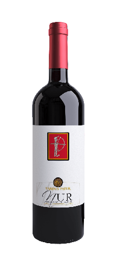 [96713] NUR Carignano del Sulcis          S. Pater