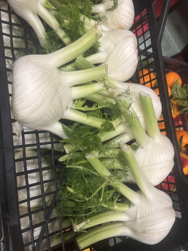 [04121] Finocchio per kg