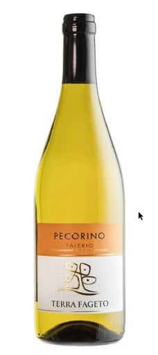 [70040] Falerio Pecorino doc            TERRA FAGETO
