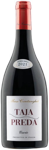 [51321] Taja Preda Maso cantanghel