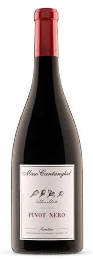 [50950] Pinot Nero Trentino Maso Cantanghel